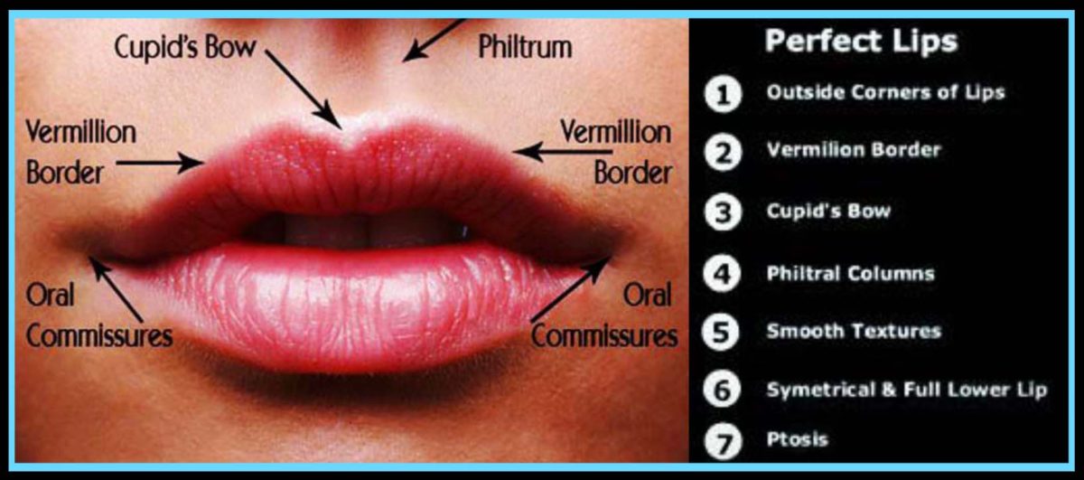 What Makes Beautiful, Attractive Lips? | Esthetic Eyes