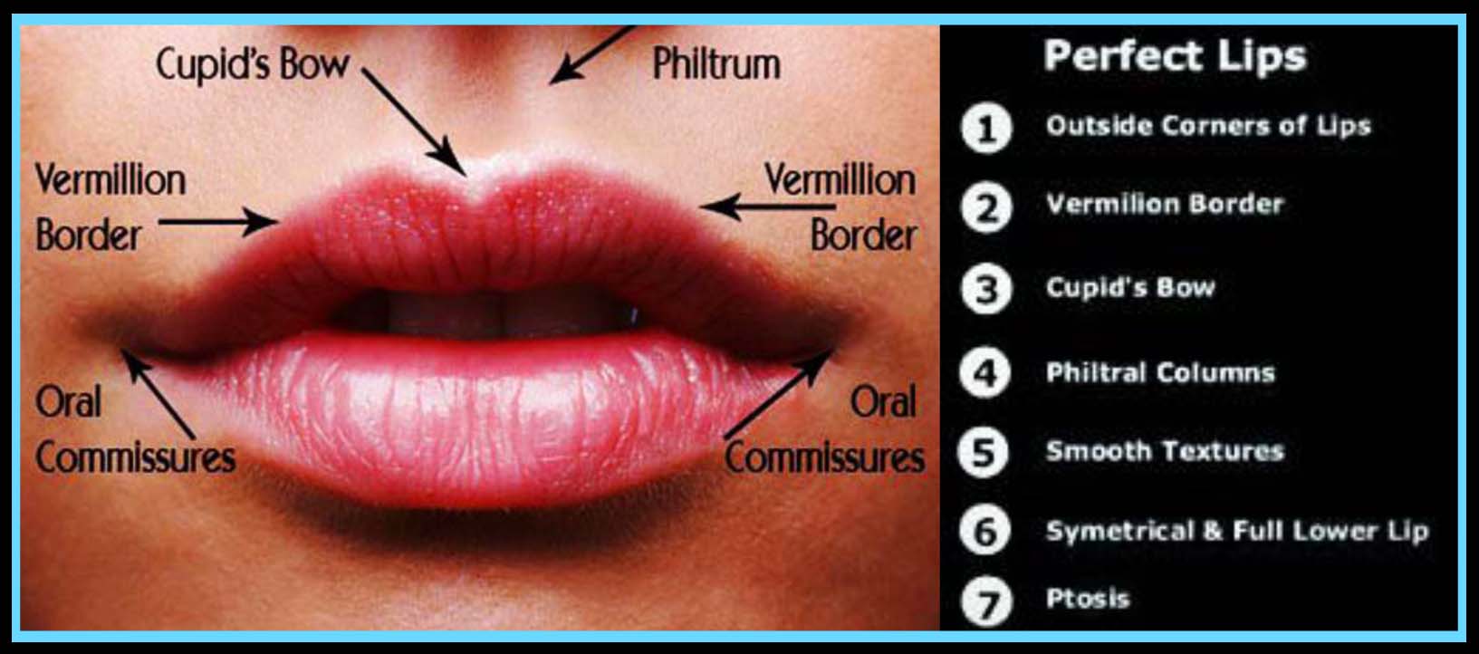 What Makes Beautiful, Attractive Lips? | Esthetic Eyes